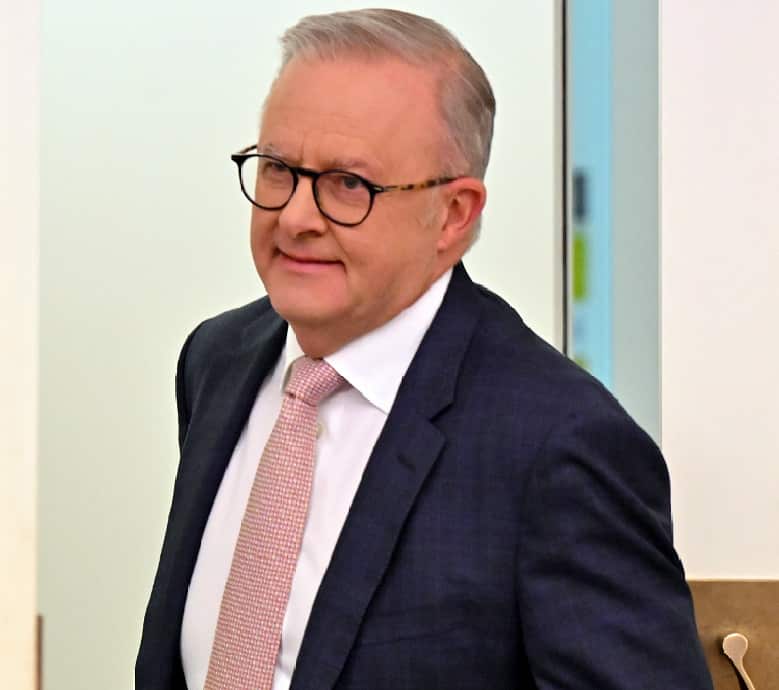 Anthony Albanese wearing a dark suit and pink woven tie