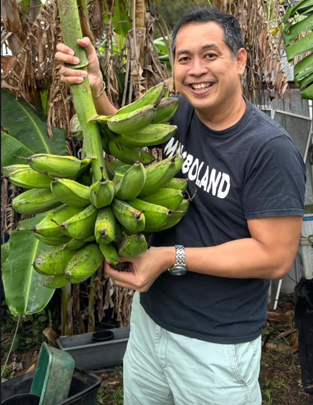 banana.jpg
