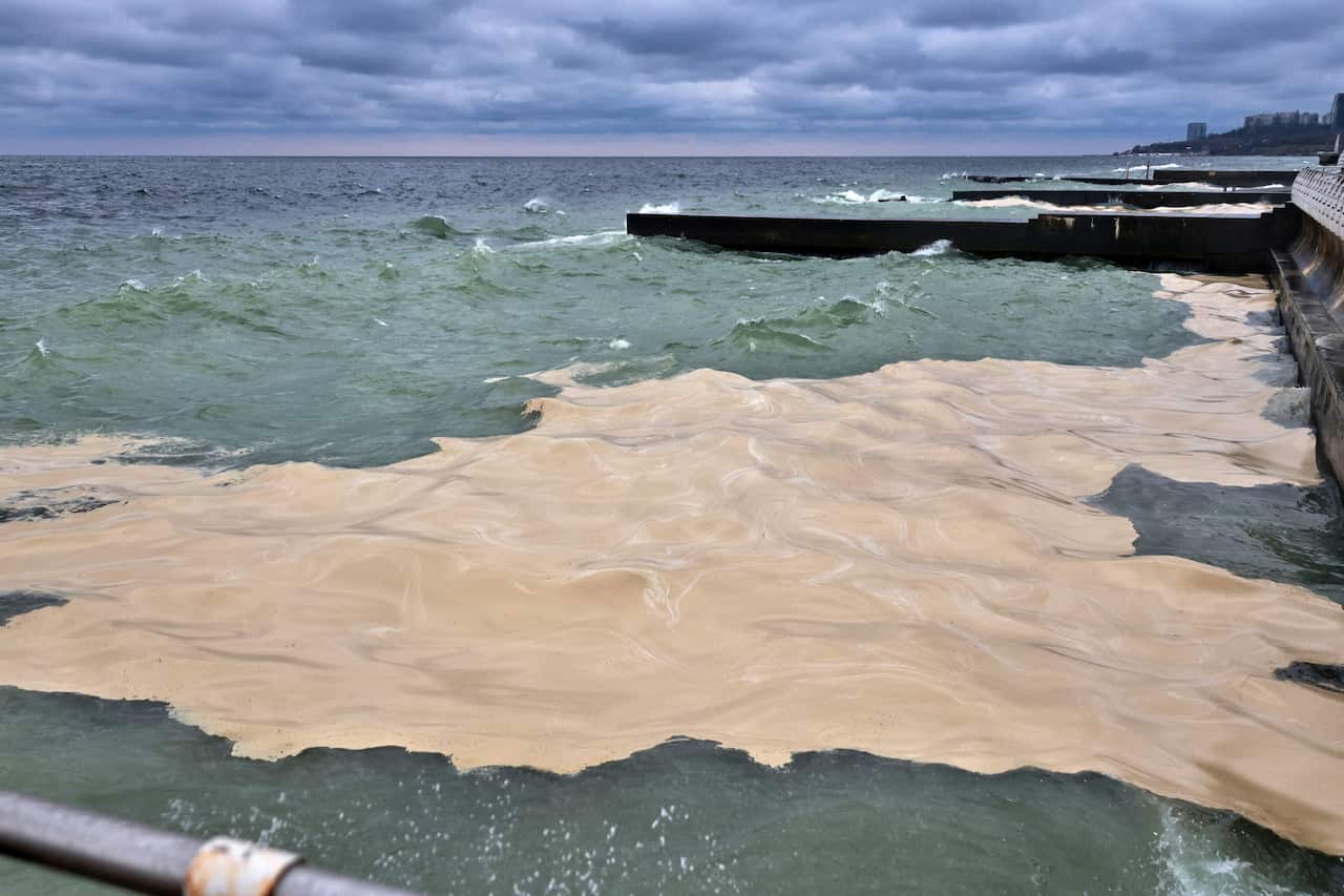 Russian Strikes Cause Sunflower Oil Spill in The Black Sea - Odessa