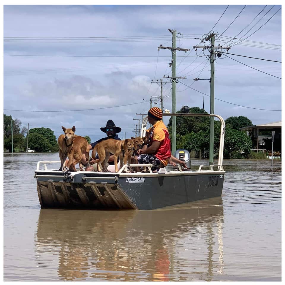 Burketown floods: Residents surrounded by crocodile-infested waters won ...