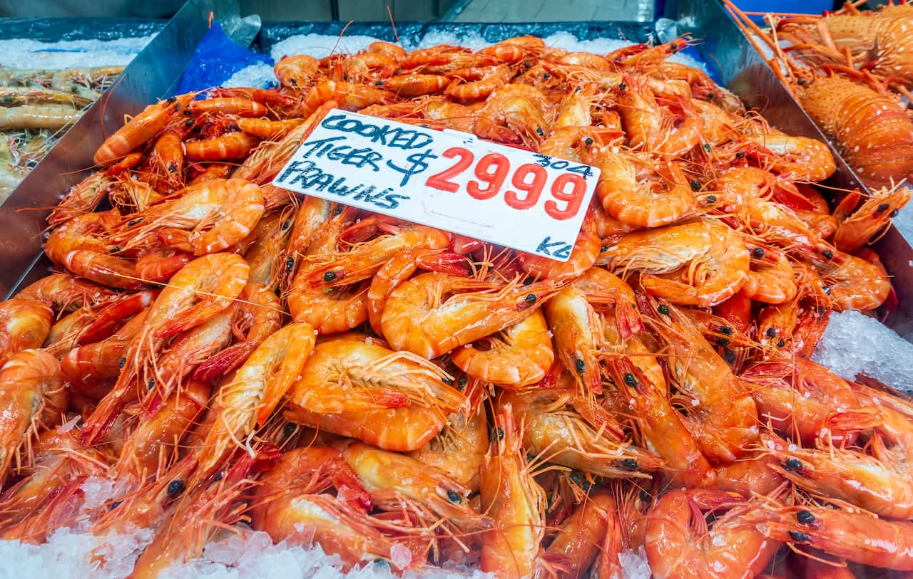 Freshly cooked tiger prawns are piled up on an ice bed for sale.