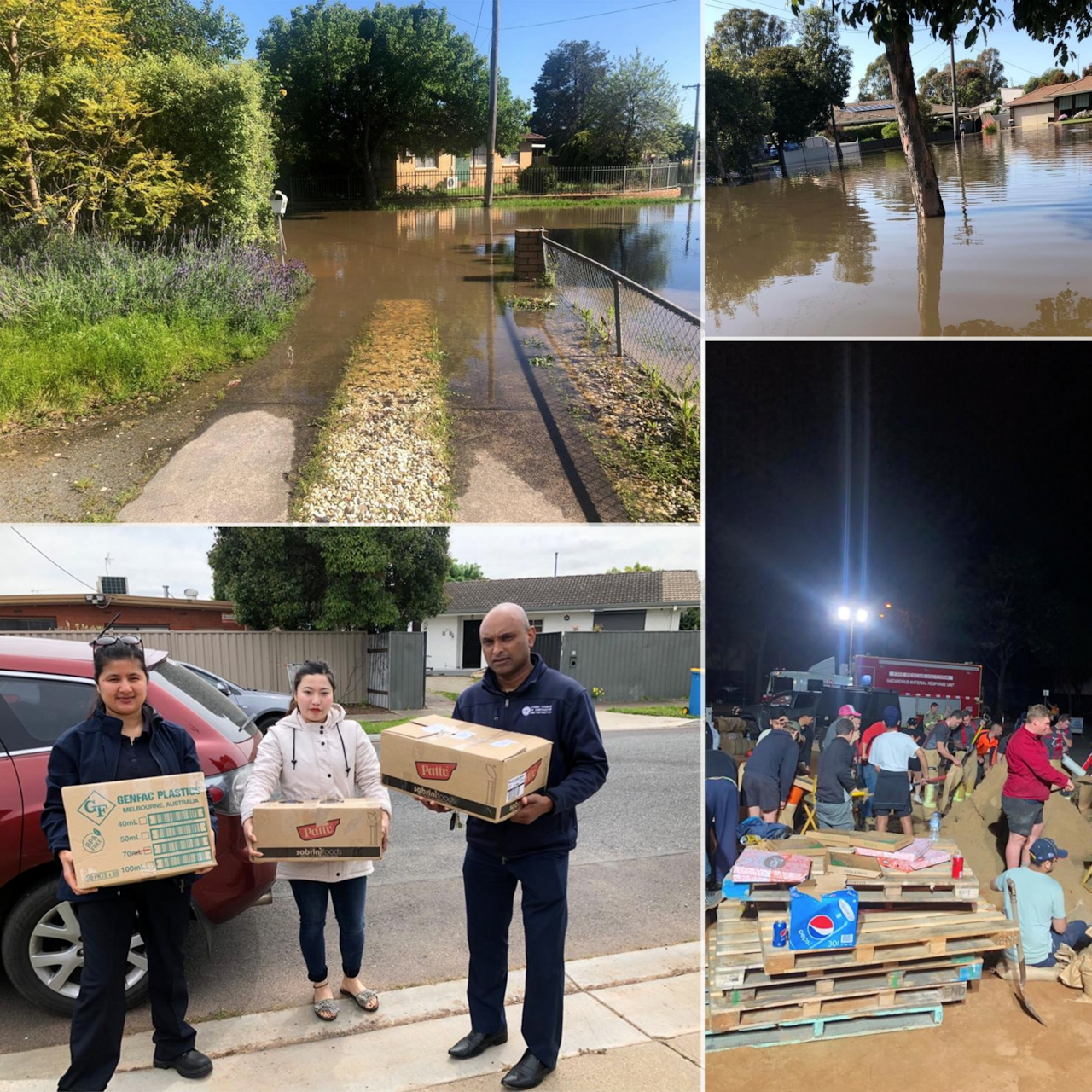 Shepfloodmeena.png