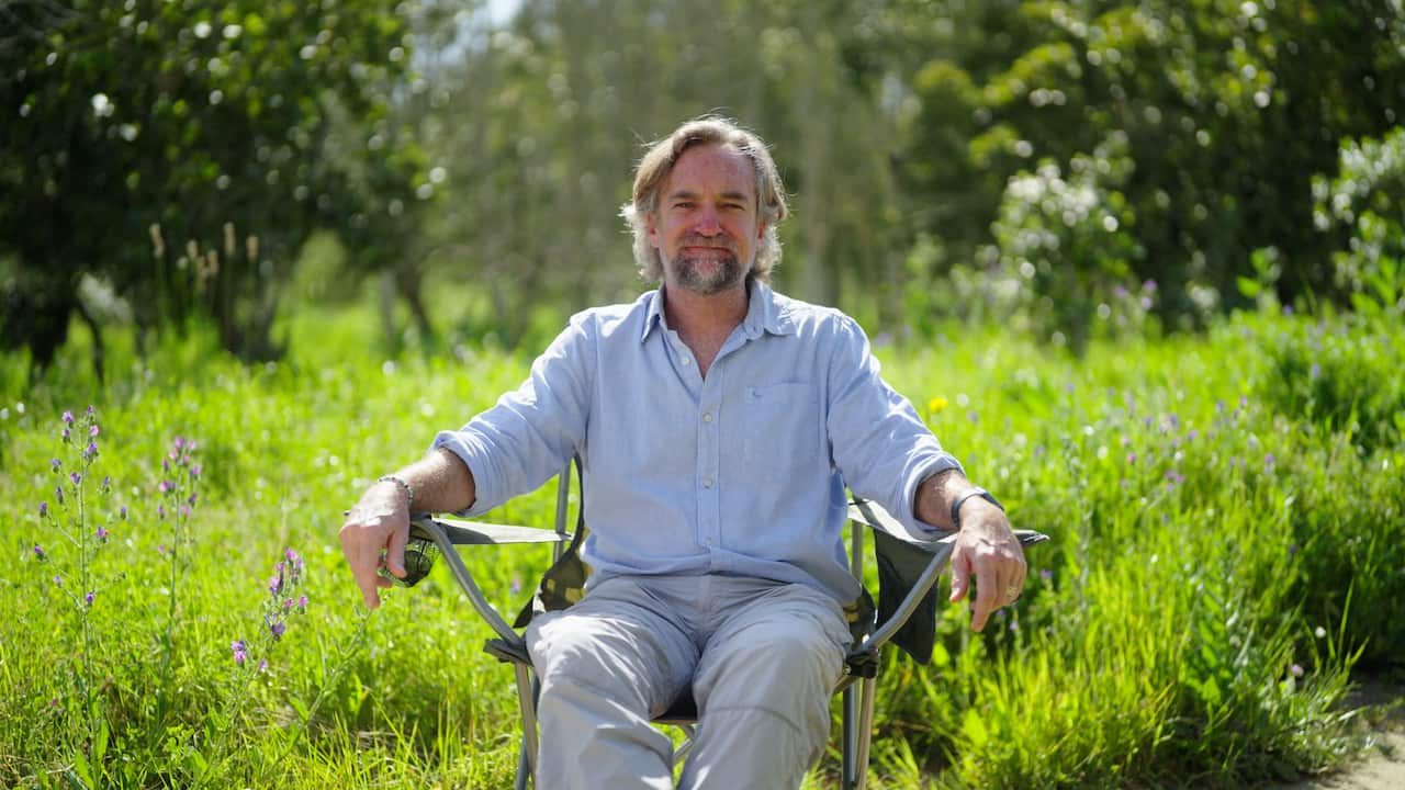 A man in a camping chair sits outside surrounded by greenery.