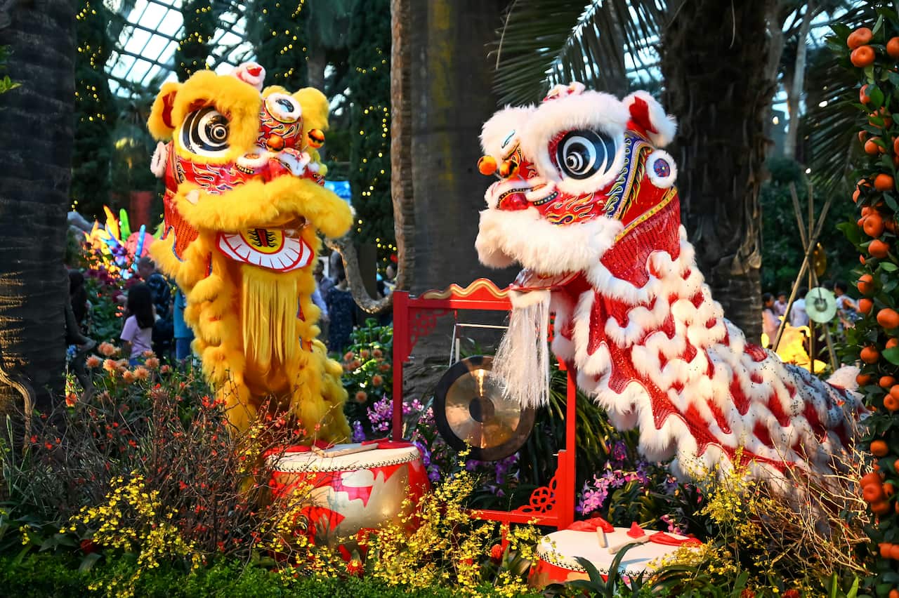 lion dance spore