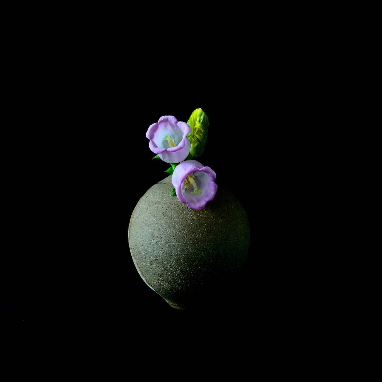 Dr Shoso Shimbo Ikebana