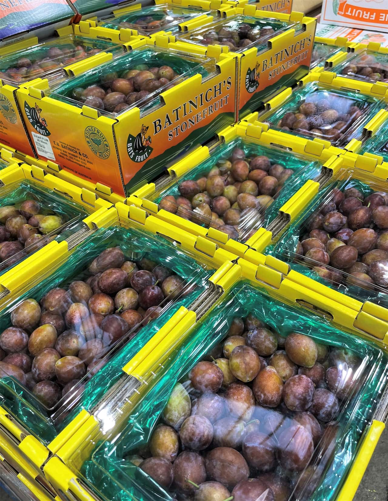 Antico International also exports sugar plums 