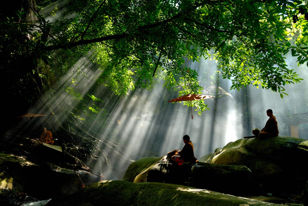 Monks meditation.