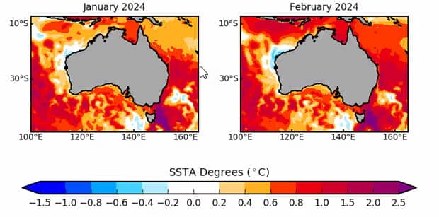 A Bureau of Meteorology map showing sea surface temperatures. Supplied: BOM