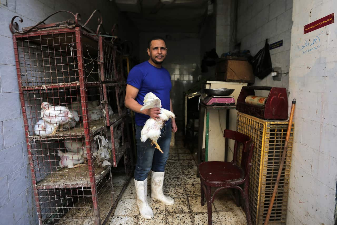 Egyptian Pound Free Falls Since IMF Loan