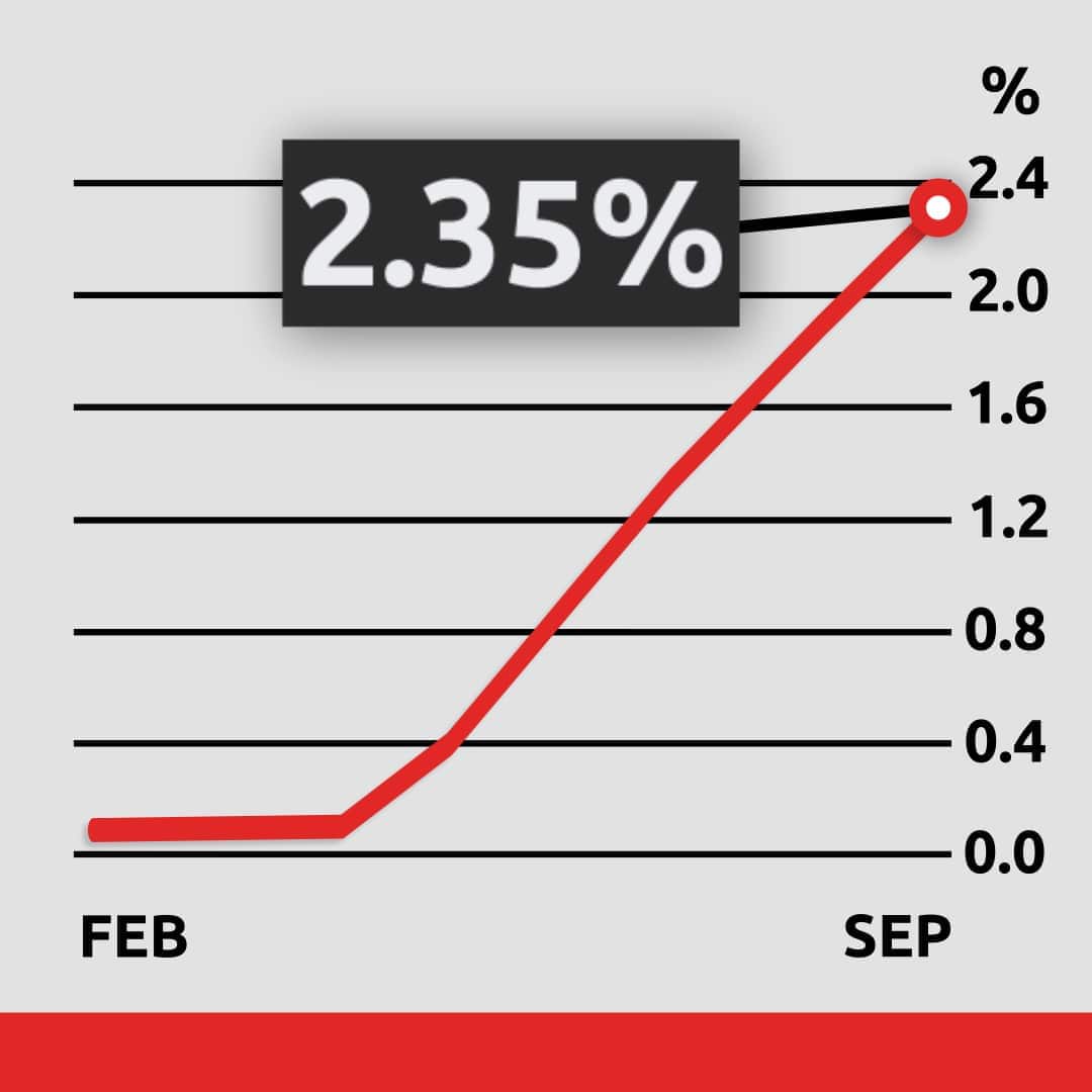 savings-rate-line-graph-render-square.jpg