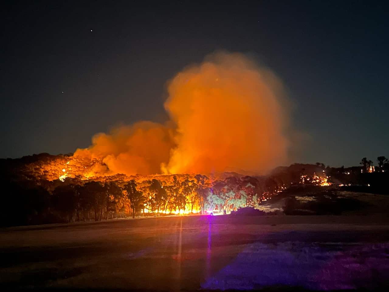 A cluster of trees on fire at night with smoke billowing upwards.