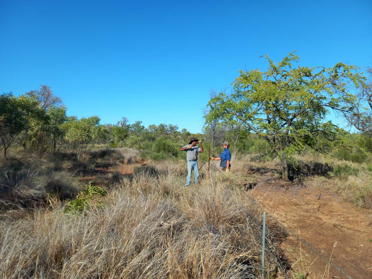 Senior Land Management Officers repairing the stock-proof fence.jpg