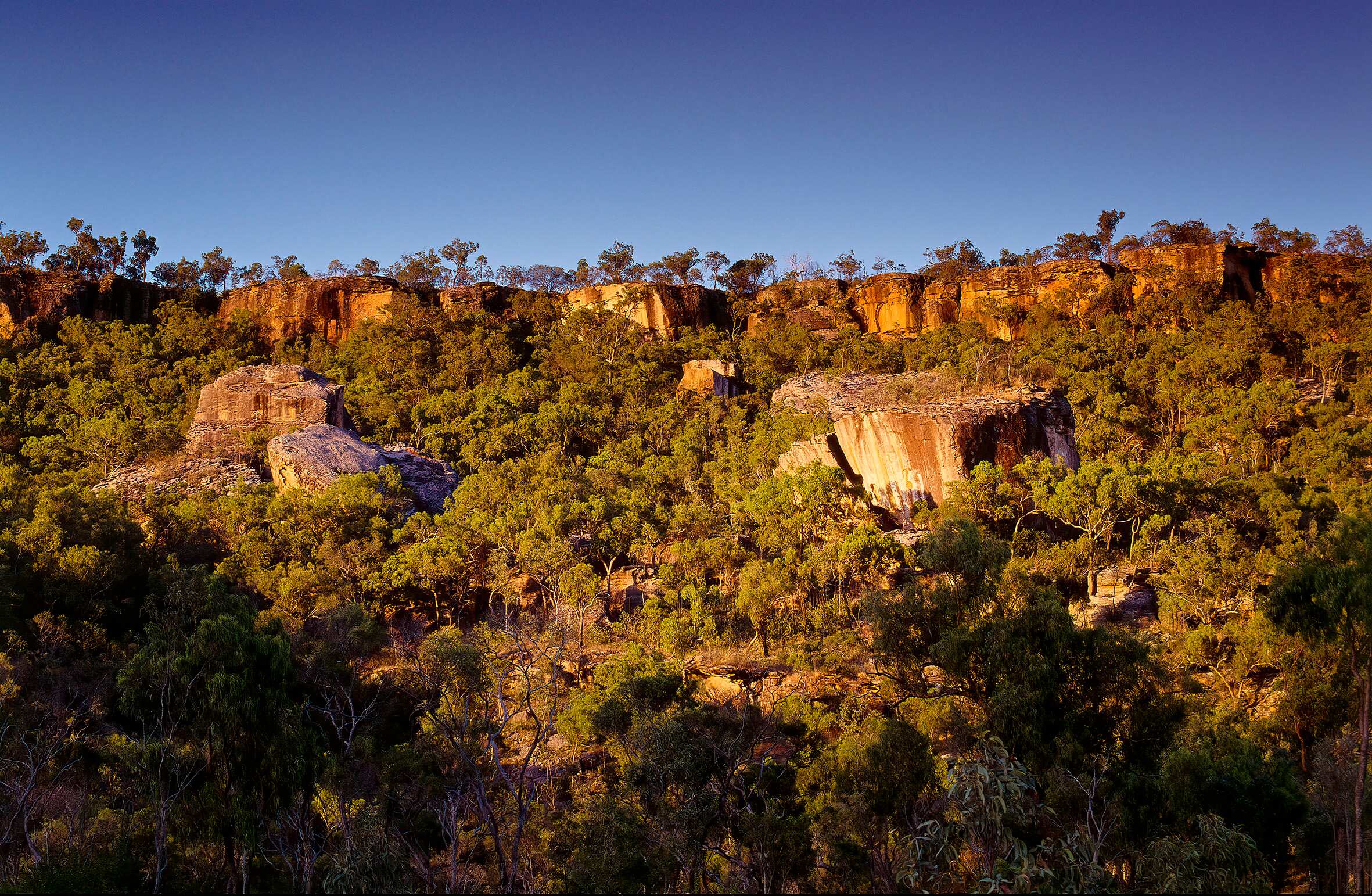 The Cape York Peninsula Has Taken Its First Step To Being World The Cape York Peninsula Has Taken Its First Step To Being World