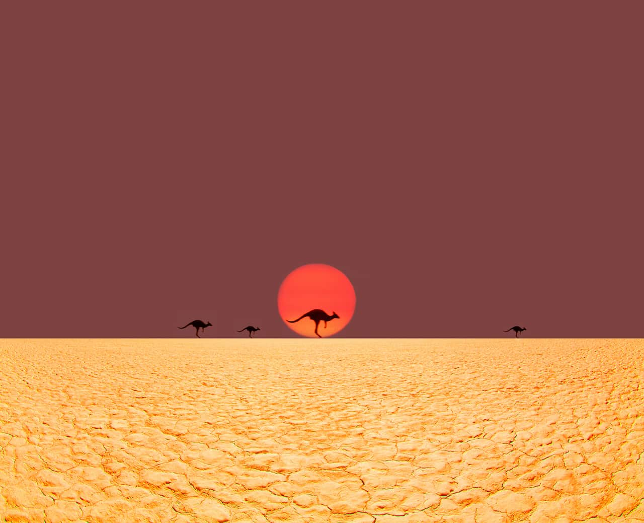 Kangaroos running in desert.