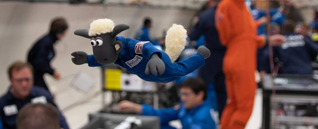 SheepFigureInBlueJumpsuitFloatingInZeroGravitySimulator.jpg