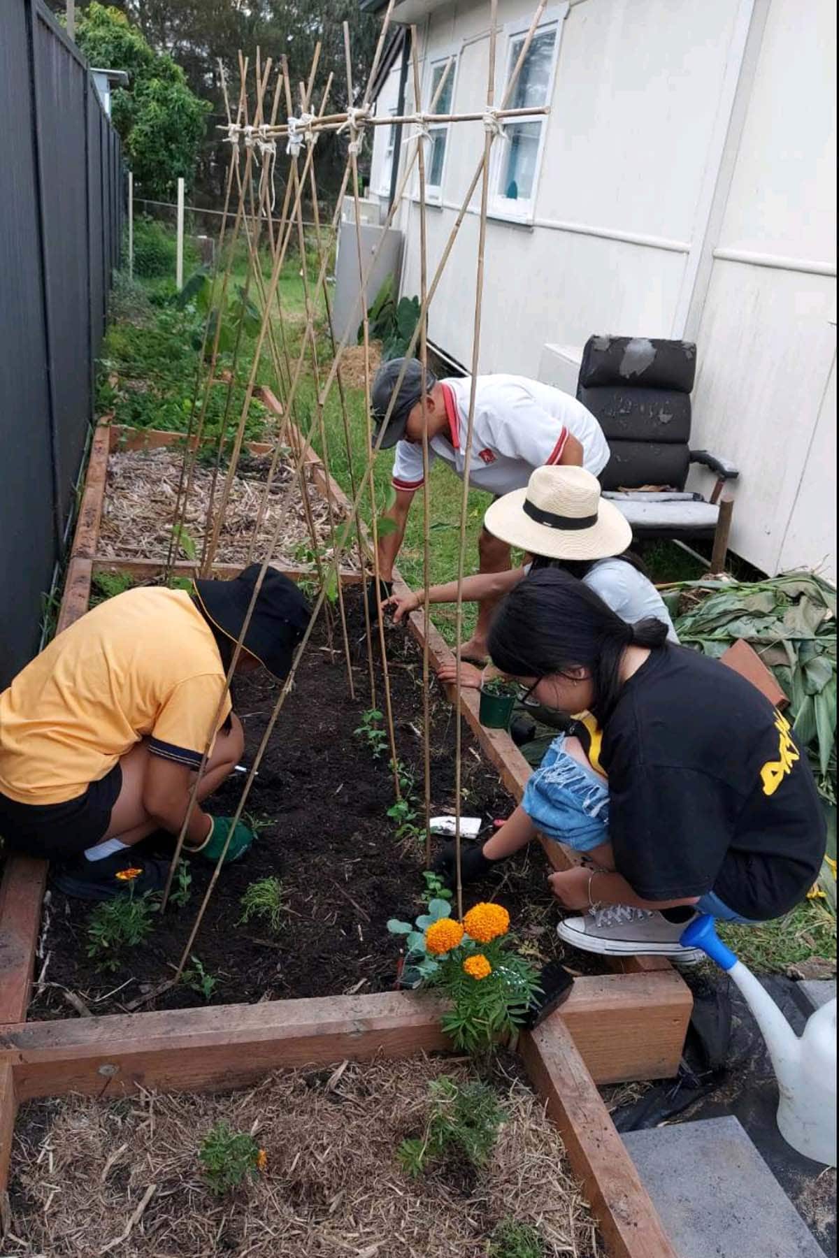 GDPT Garden SBS 3.jpg