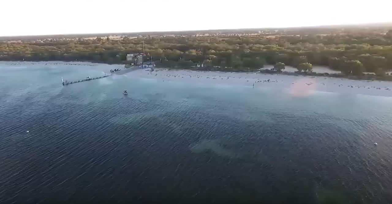 Aerial image of a bay