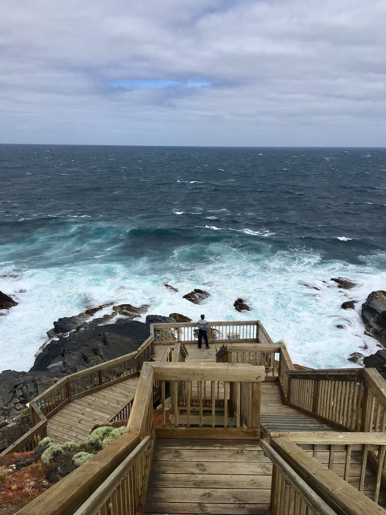 Kangaroo island