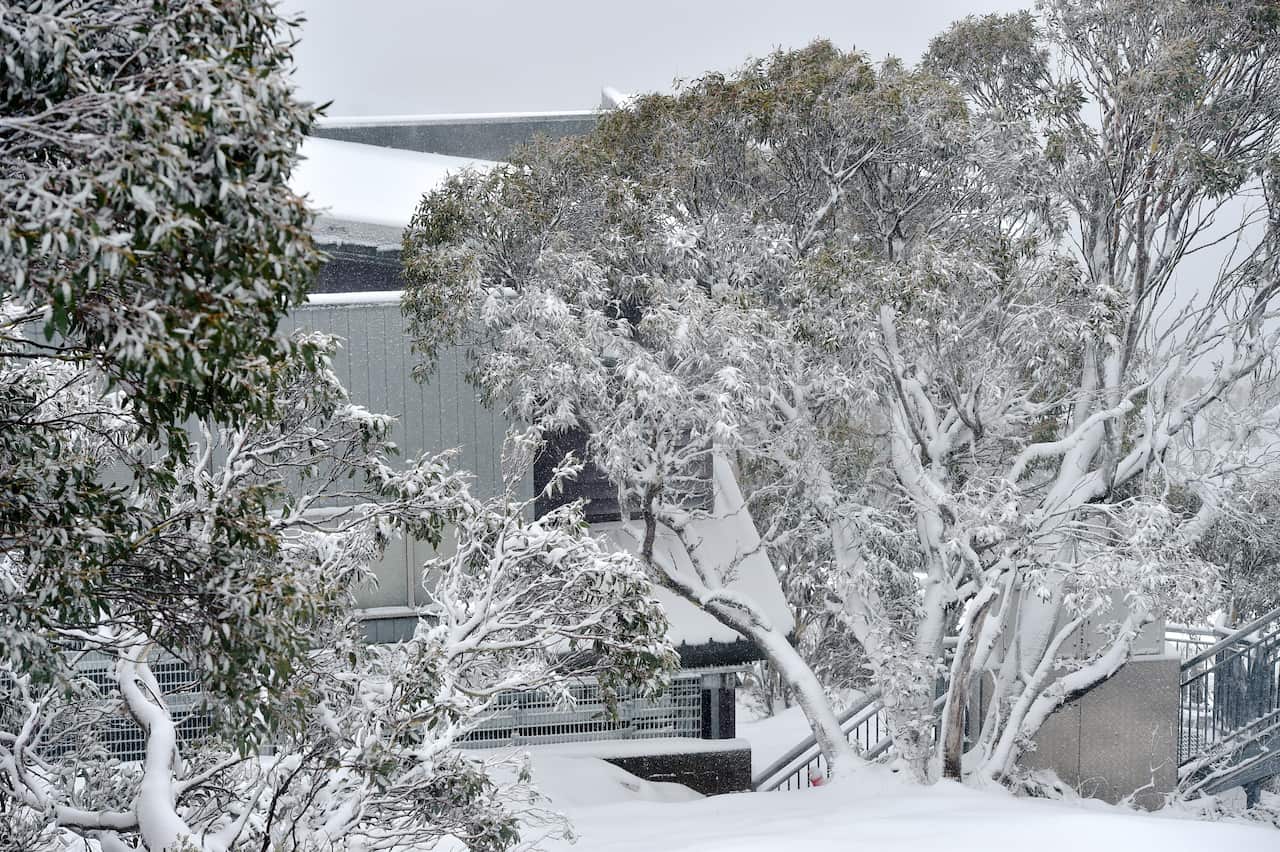 COLD WEATHER VICTORIA