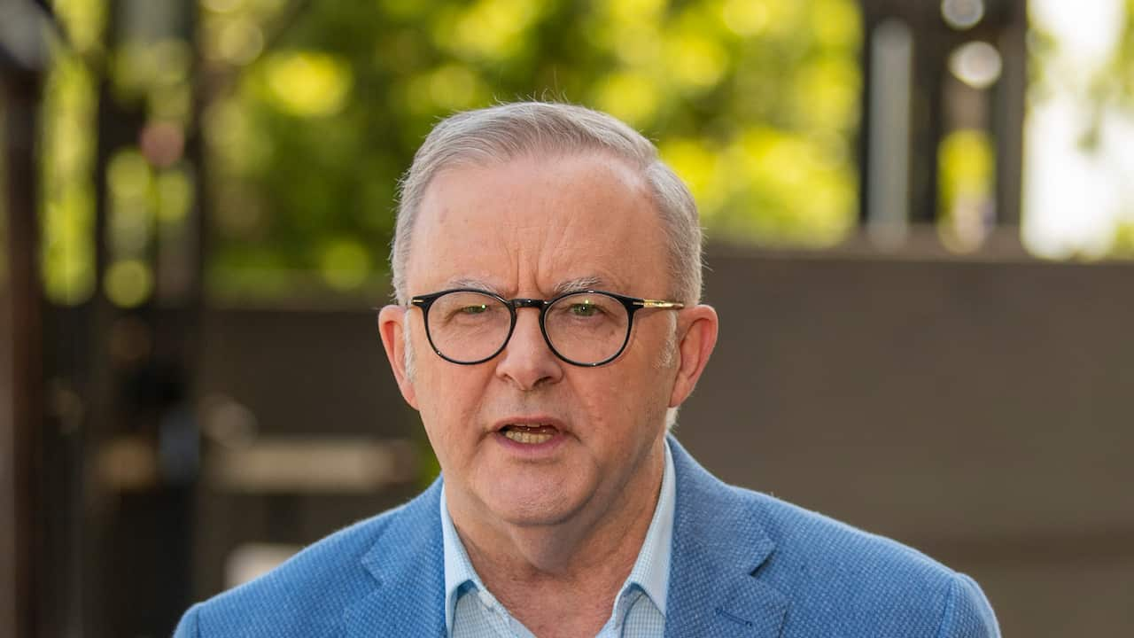 Anthony Albanese in a blue jacket speaking in front of a blurred background of trees.