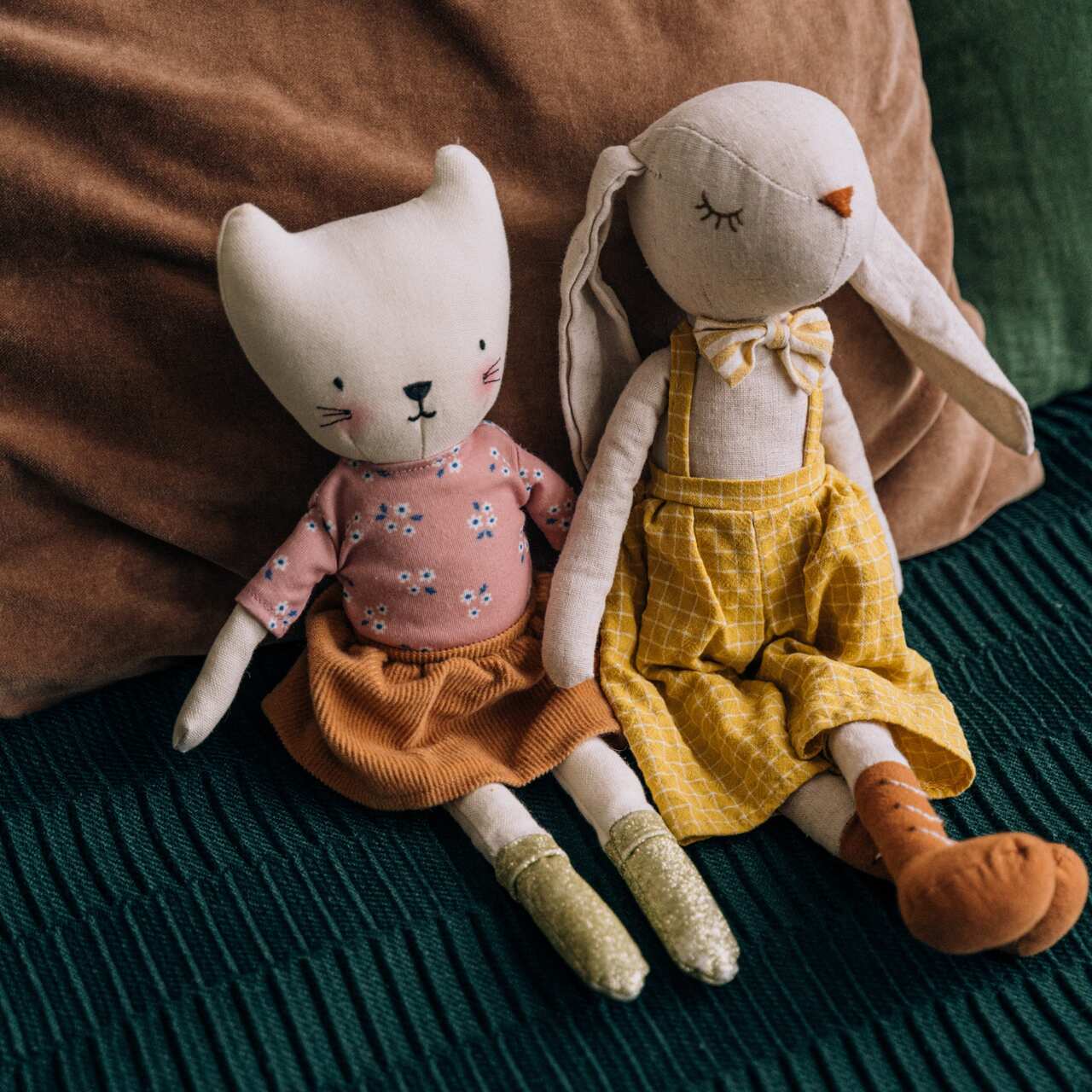 Cat and rabbit