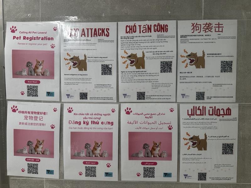 Image (81).jfif