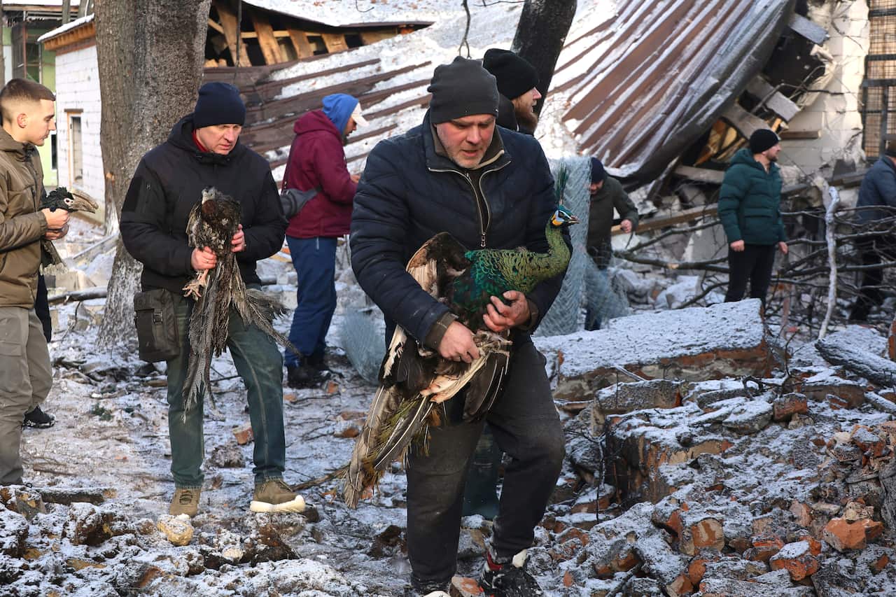 Russian army strikes zoo in Kharkiv region with guided bomb