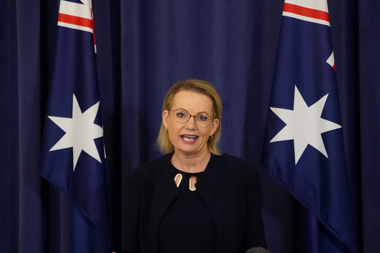 A woman in a black top is speaking in front of a blue blackground with white stars.