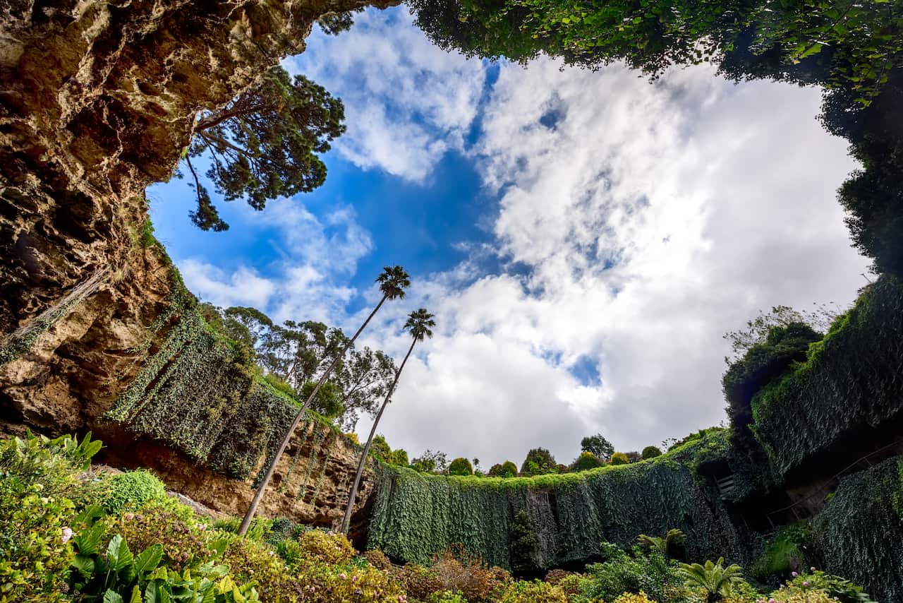 Umpherston Sinkhole (Cenote)