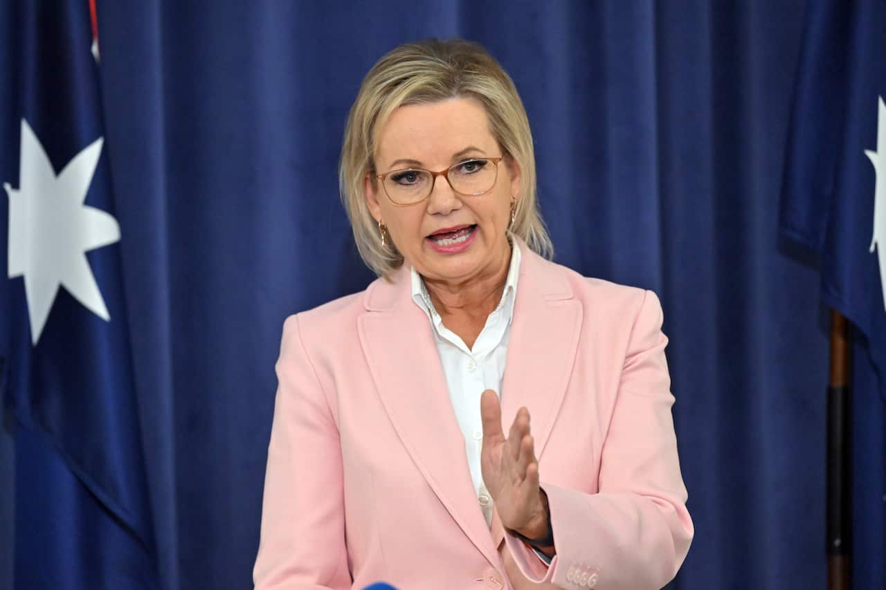 A woman in a pink blazer is gesticulating as she speaks into a microphone in front of an Australian flag.