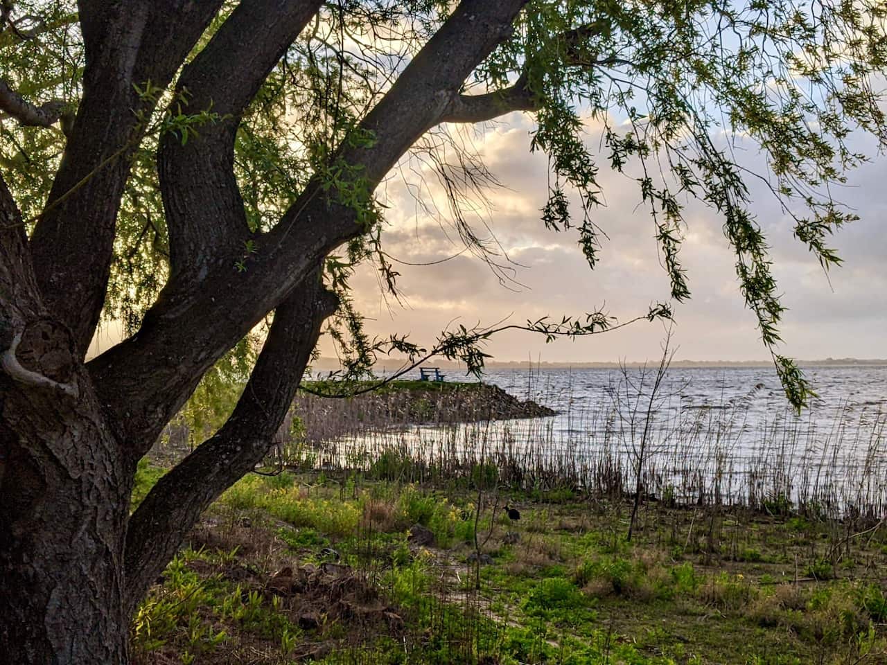 Colac Lake.jpg
