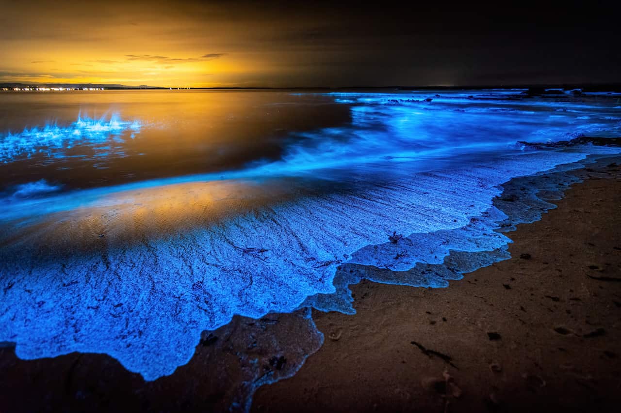 Jervis bay Sea sparkle,Scenic view of sea against sky at night,Jervis Bay,Australia