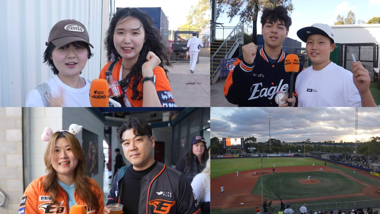 한화 이글스 멜번 에이시스 연습경기 3.png