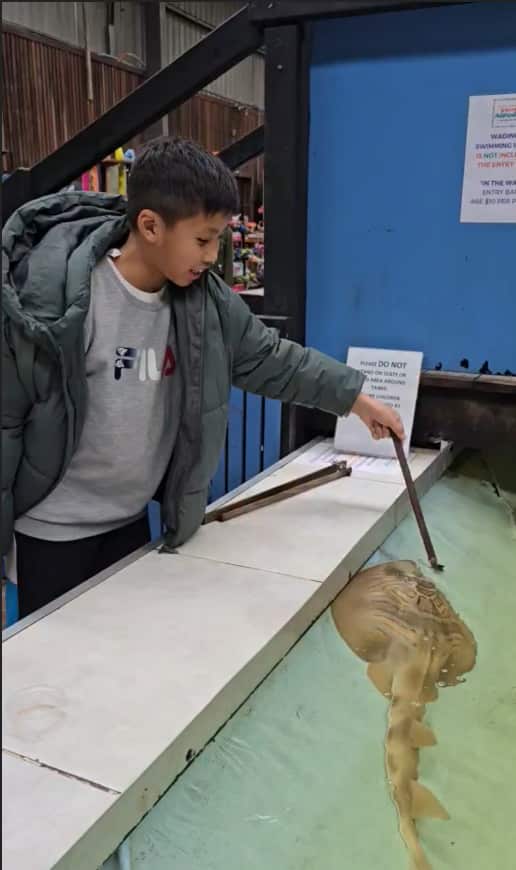 vườn thủy sinh.png