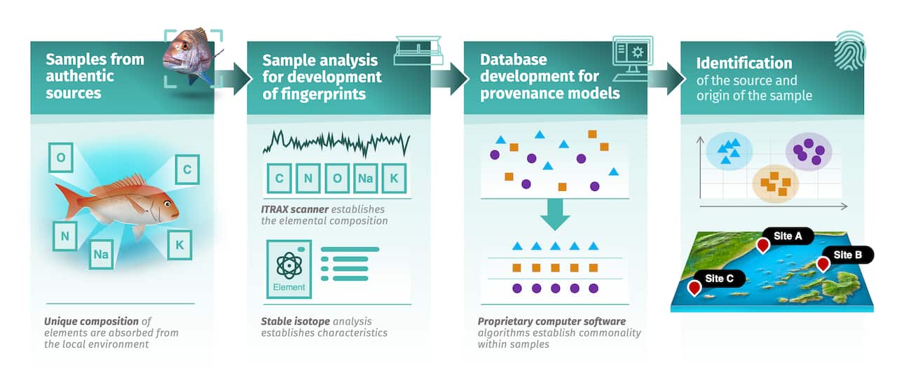 A chart with four panels show how a fish is linked to a specific site.