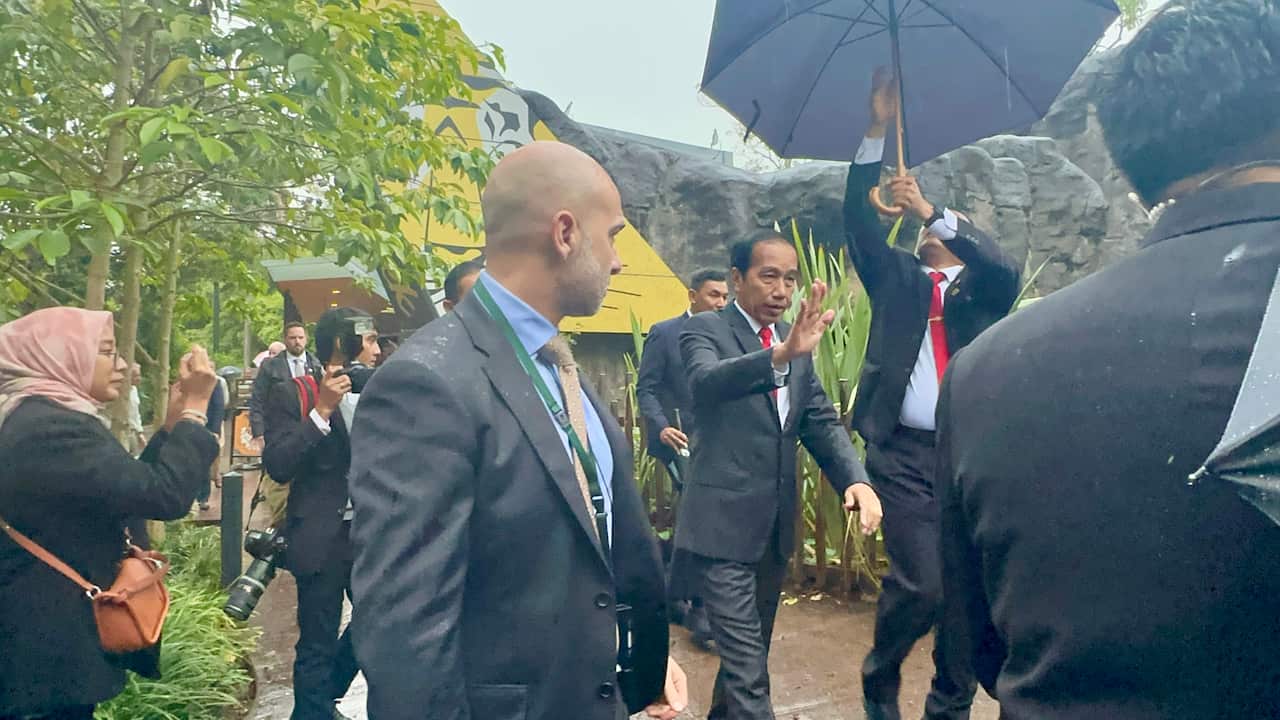 Jokowi under the rain.jpg