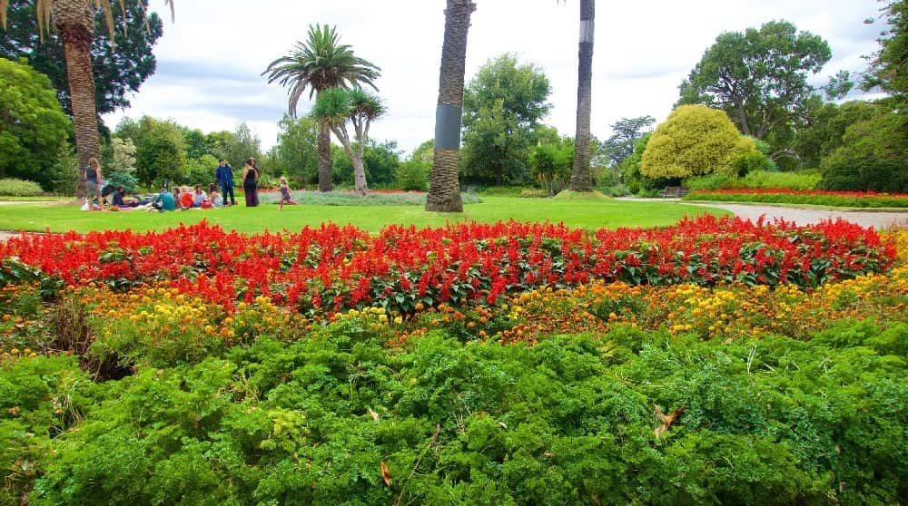 st kilda garden.jpg