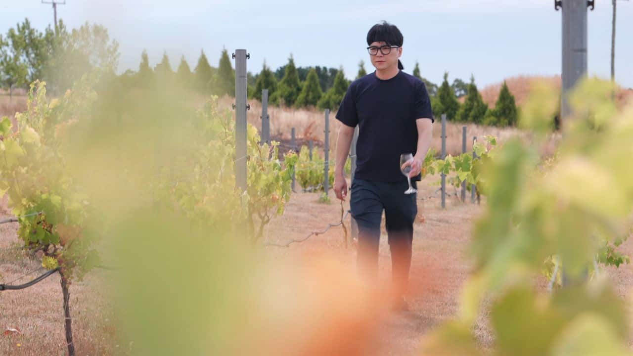 A Korean man wearing a black t-shirt and dark pants, holding a wine glass as he walks through a vinyard. Grapes hanging from the vines, and blurred leaves in the foreground frame the scene.