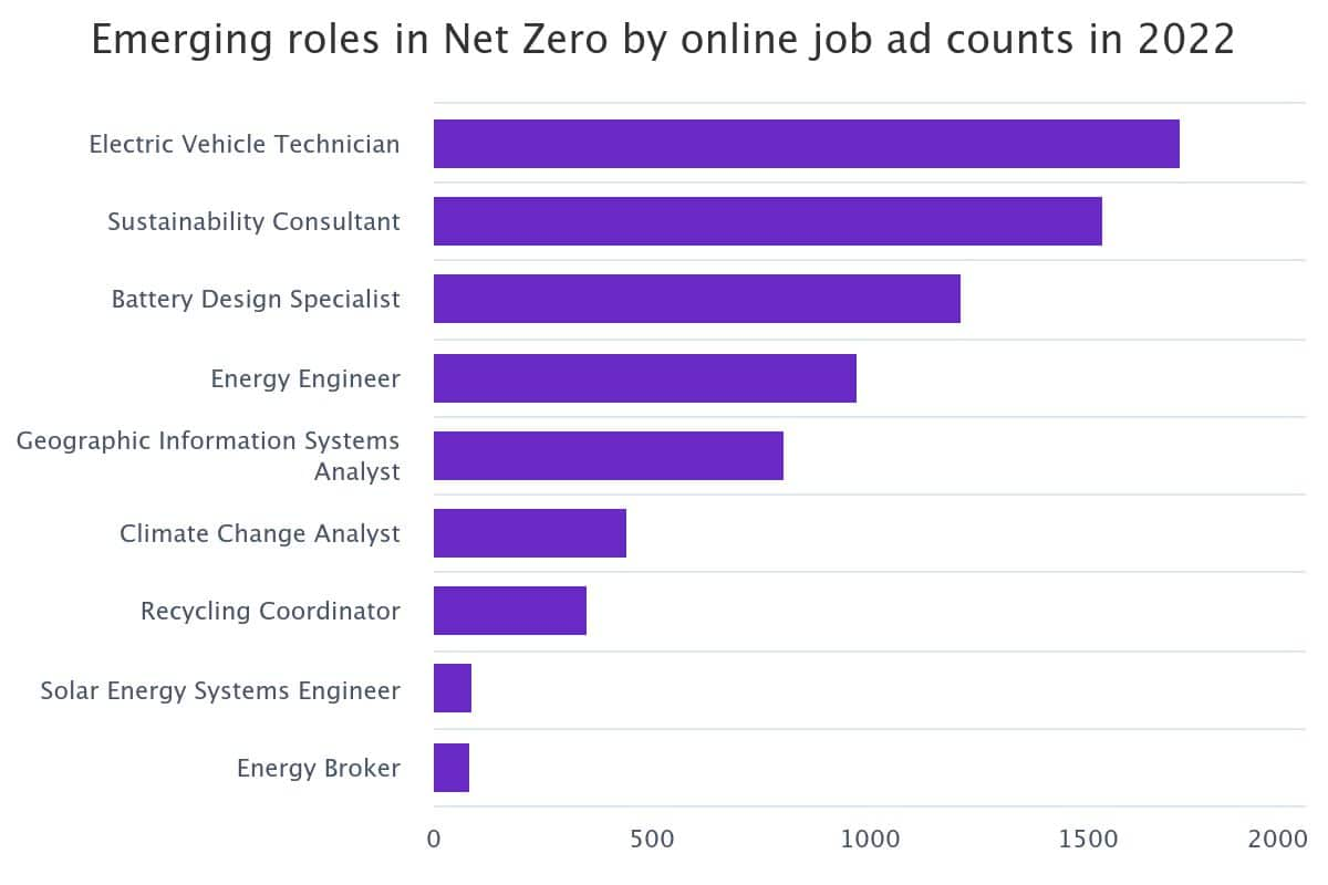 emerging-roles-in-net-ze.jpeg