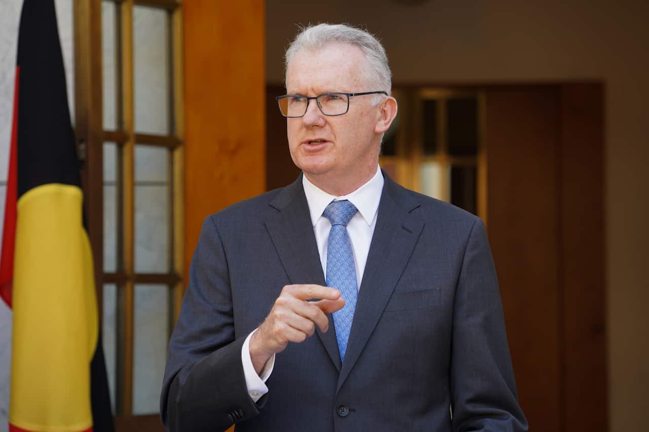 Tony Burke speaking in front of an Aboriginal flag.