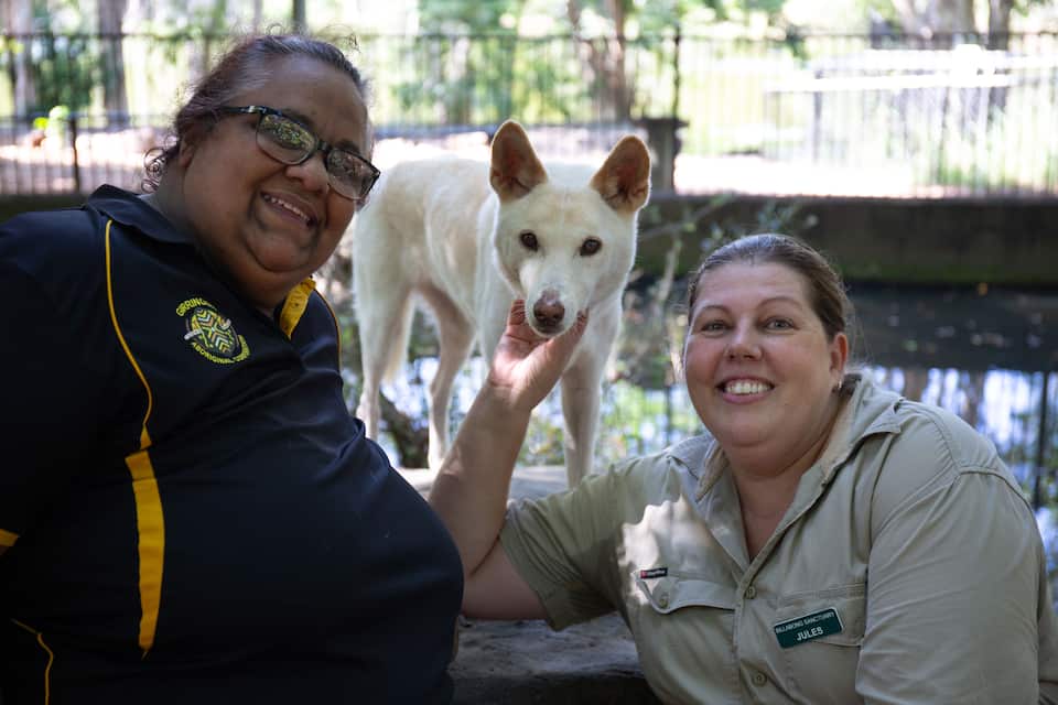 Inaugural National Dingo Forum brings First Nations voices back in the