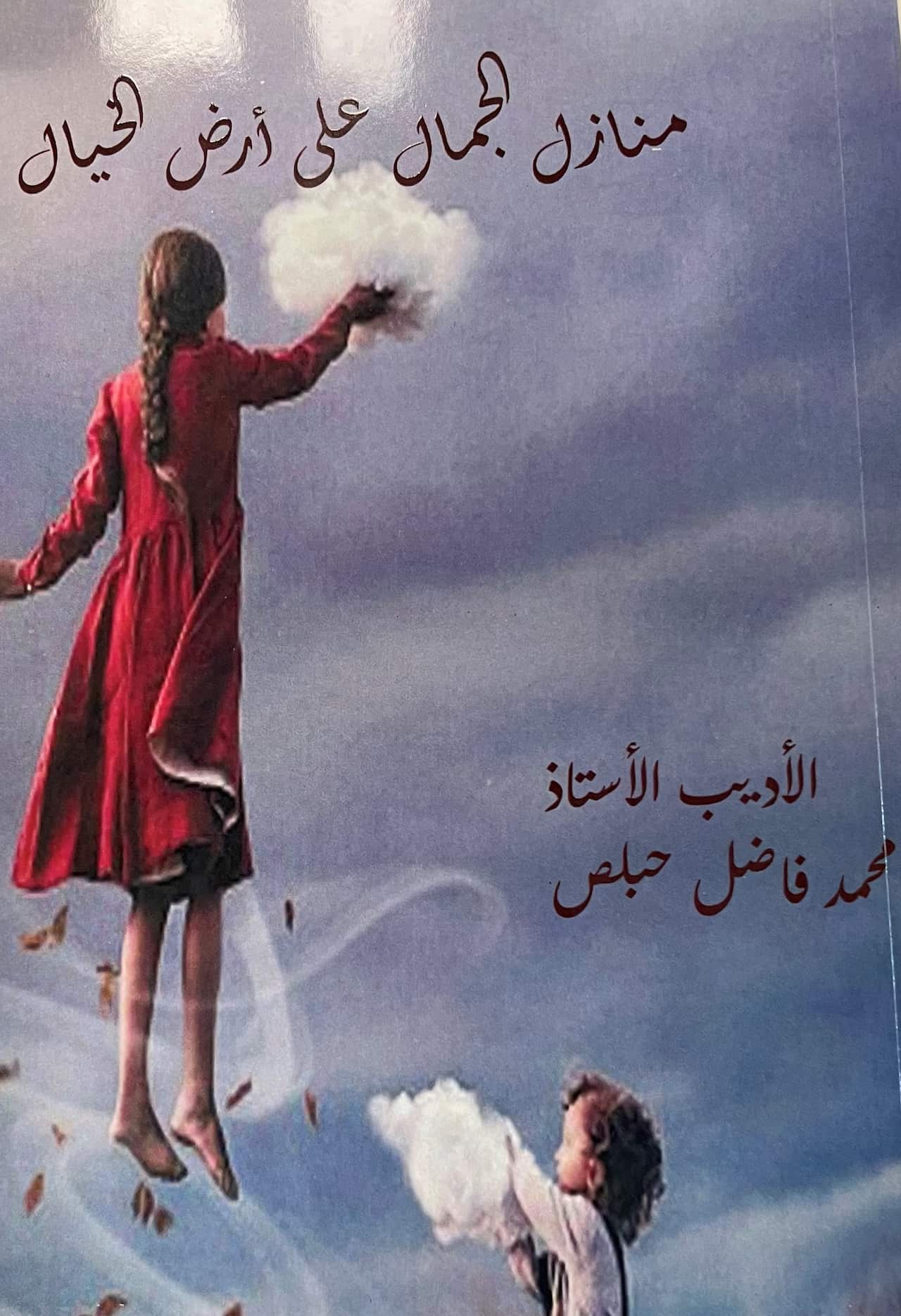 Mohammad Hoblos book #2.jpg