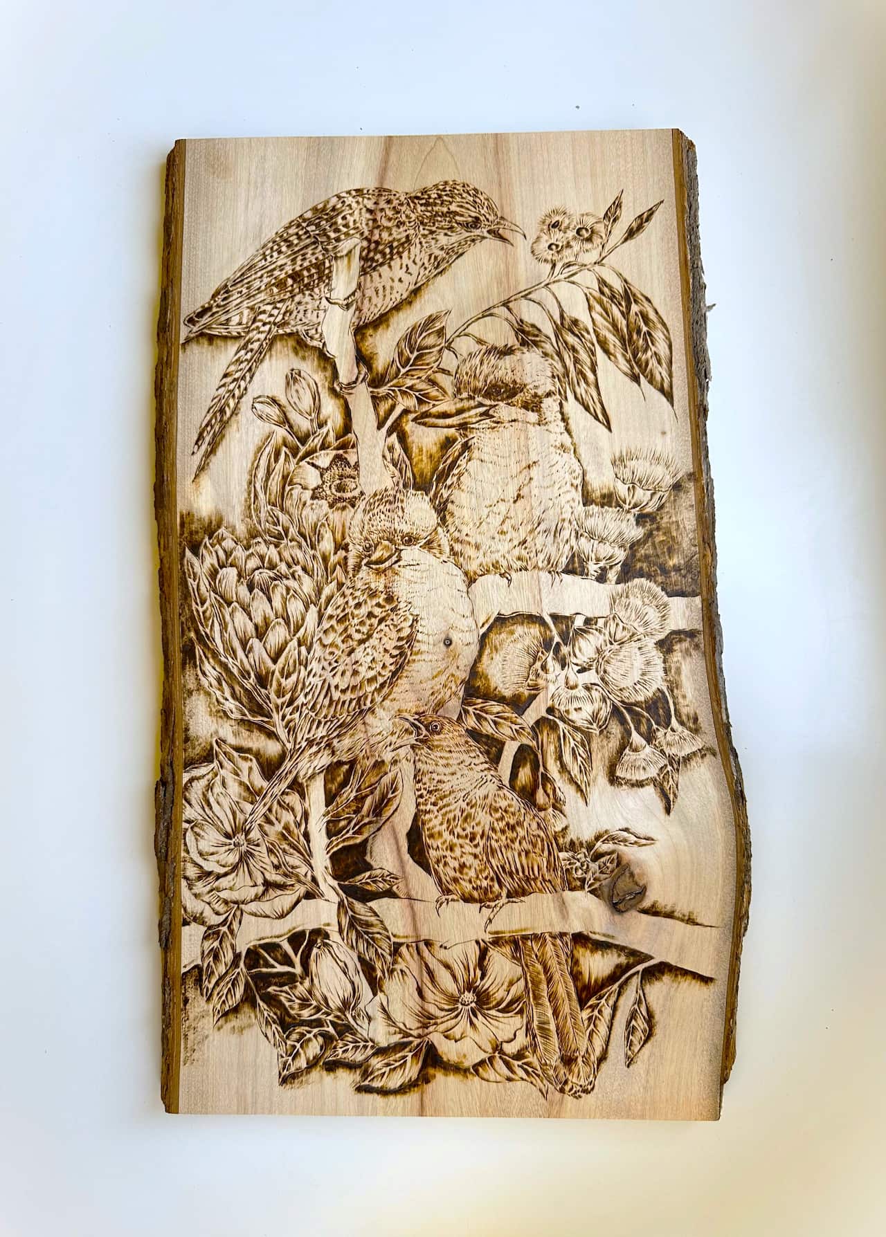 《 太吵了 —— 笑翠鳥與噪鵑》 ‘Too Noisy’.jpg