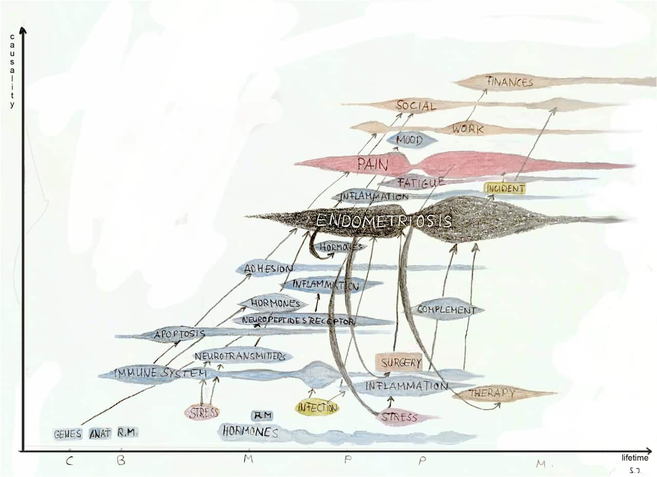 Integrated Vision_Ilschner.jpg