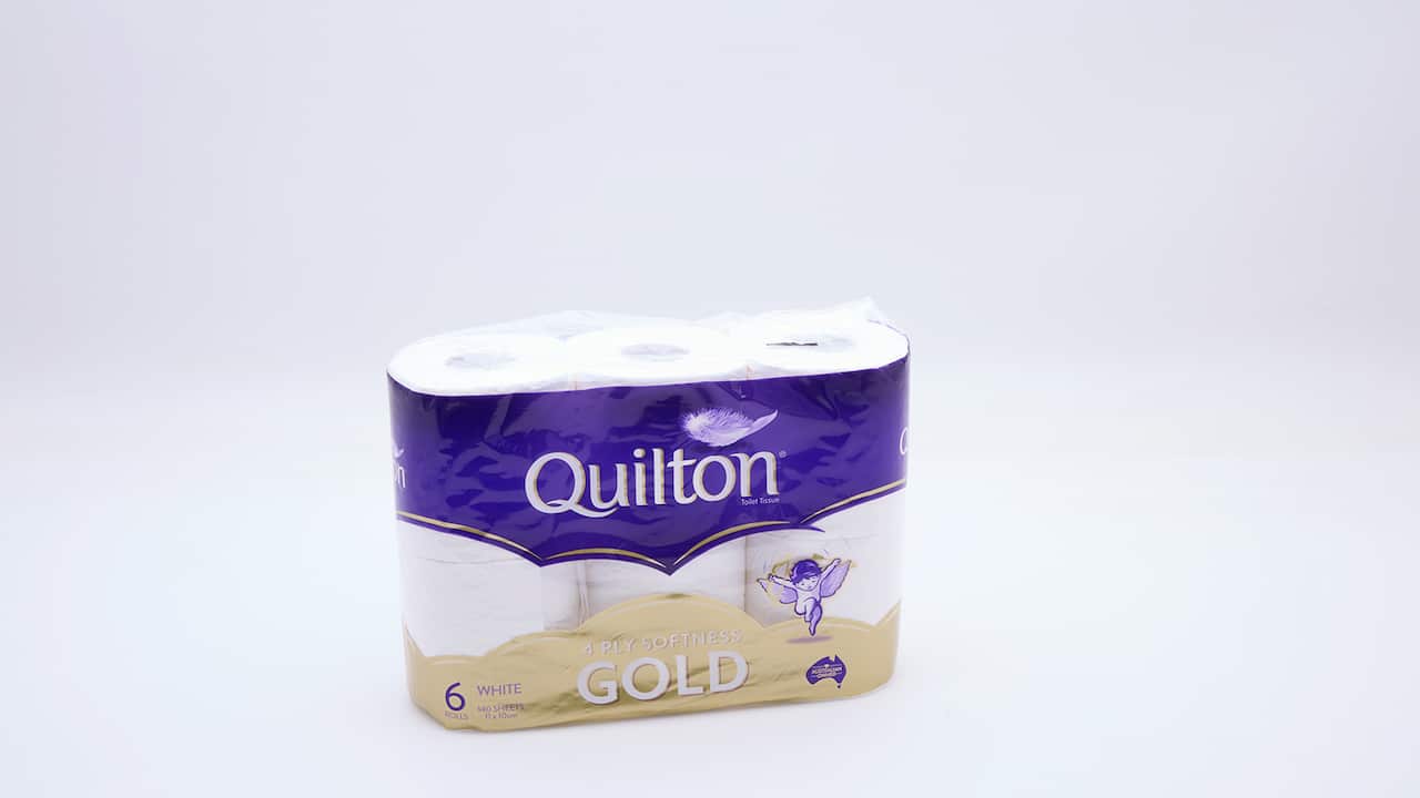quilton-4-ply-softness-gold_1.jpeg