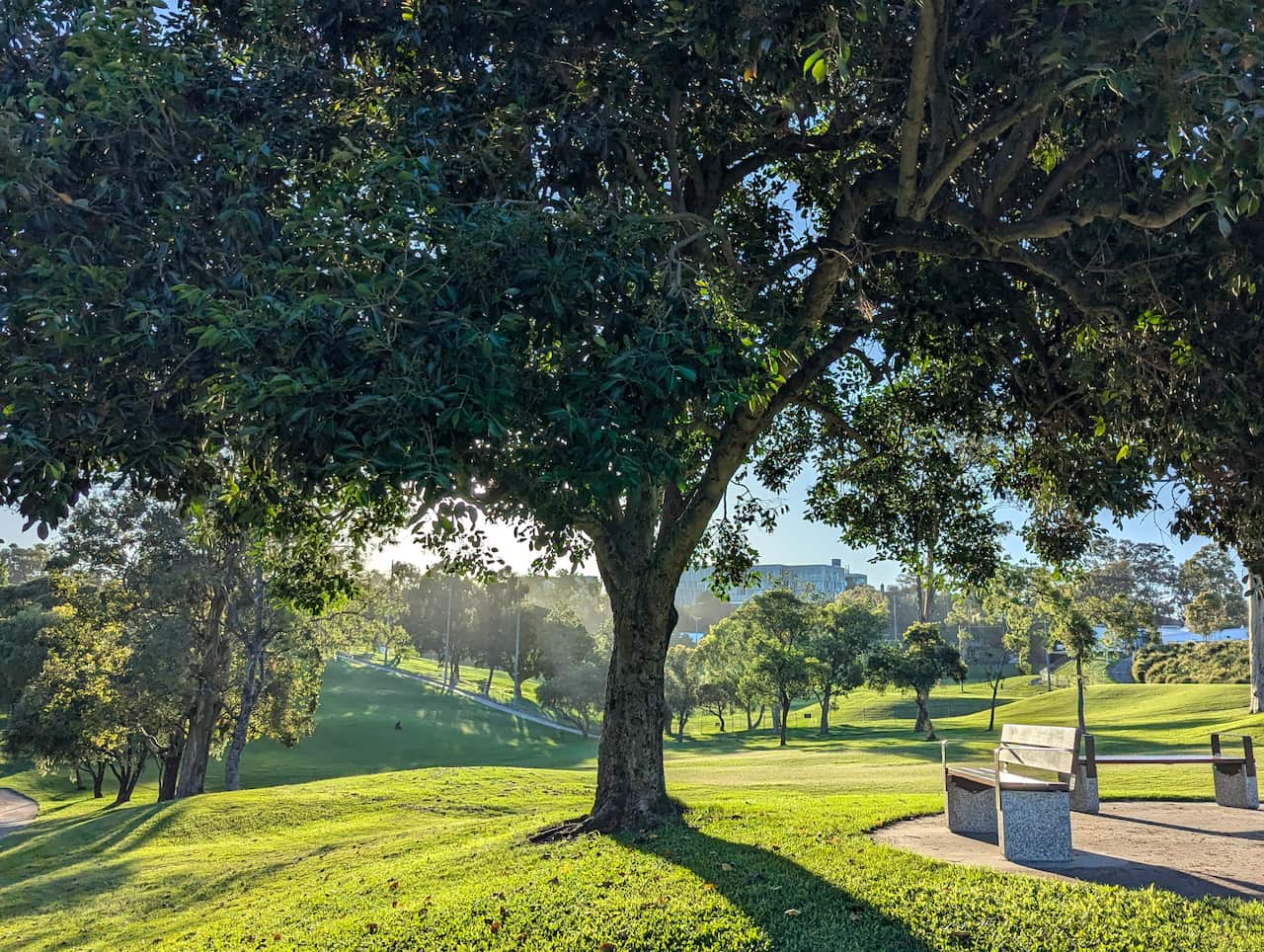 Generic landscape 2 credit Save Victoria Park.jpg