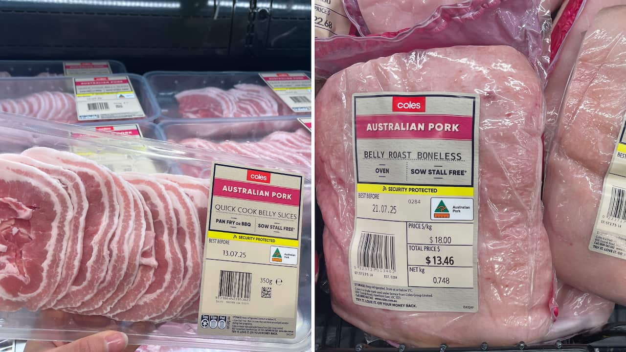 Pork Belly.png