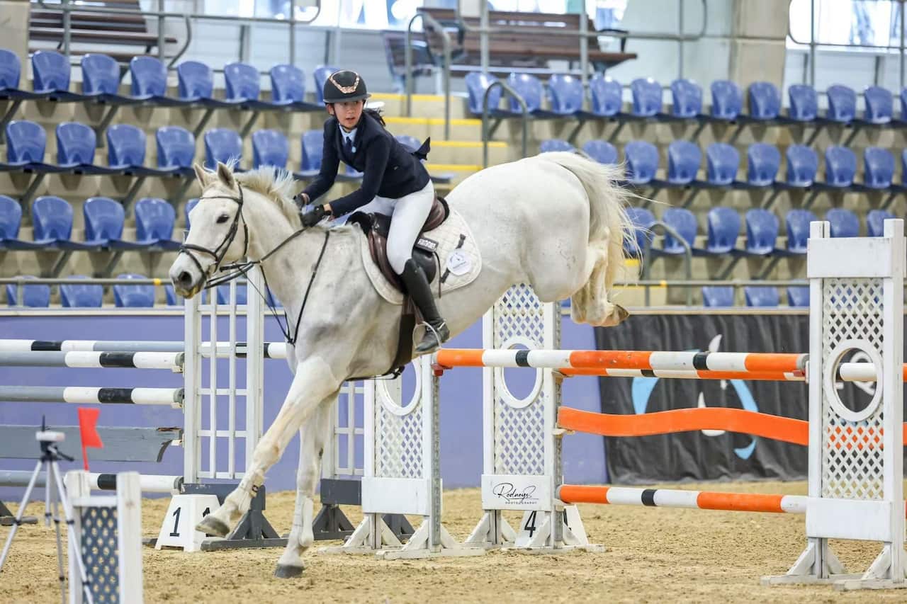 比赛中的Jess Gui