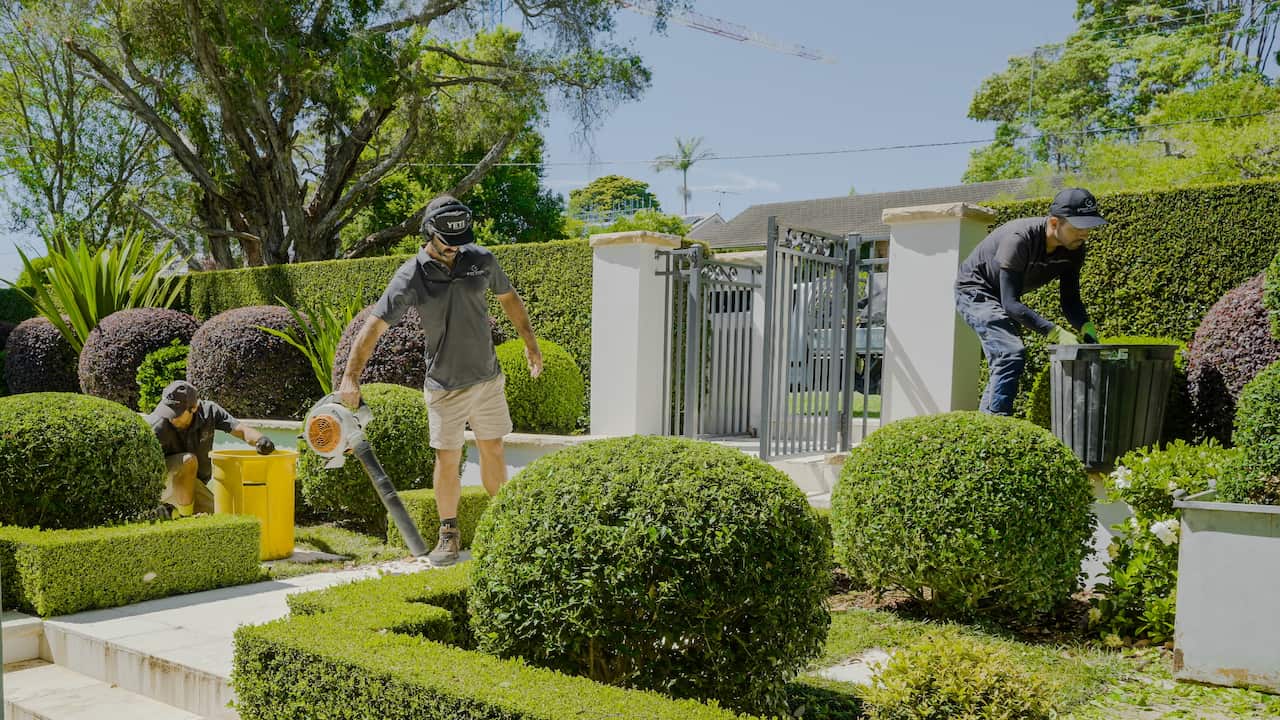 IMG_20260204_130734 (4).jpg