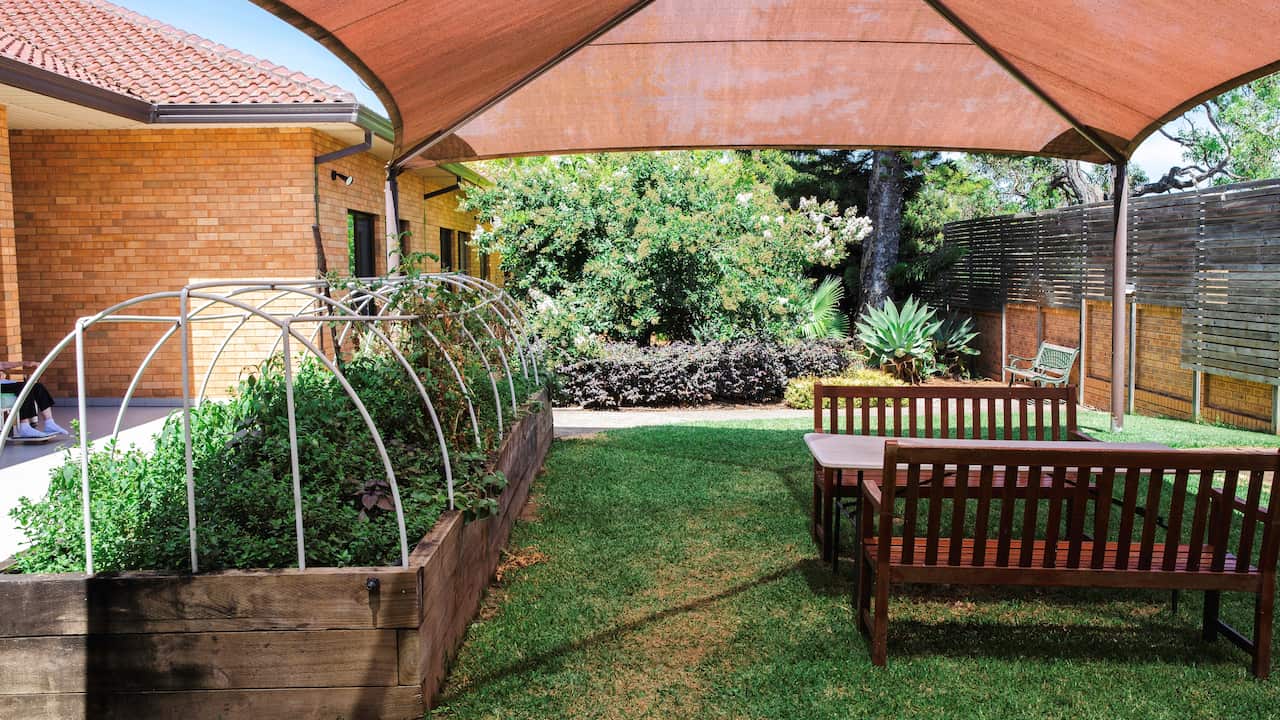 Outdoor garden area